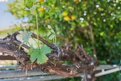 2328 Bartlett St, Oakland, CA 94601 - Photo 48