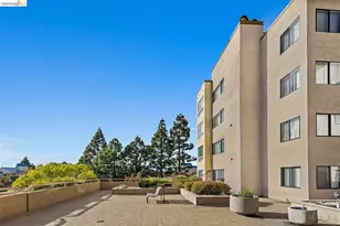 545 Pierce St, Albany, CA 94706 - Photo 28