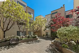545 Pierce St, Albany, CA 94706 - Photo 2
