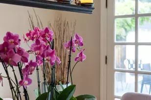 860 Superior Ave, San Leandro, CA 94577 - Photo 12