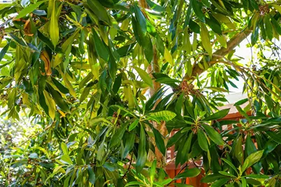 32287 Ithaca St, Hayward, CA 94544 - Photo 48