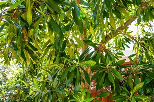 32287 Ithaca St, Hayward, CA 94544 - Photo 48