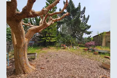 18758 Crane Ave, Castro Valley, CA 94546 - Photo 12