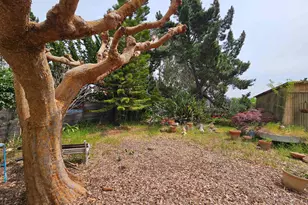 18758 Crane Ave, Castro Valley, CA 94546 - Photo 12