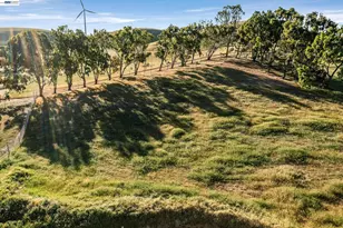 4002 Dyer Rd, Livermore, CA 94551 - Photo 38