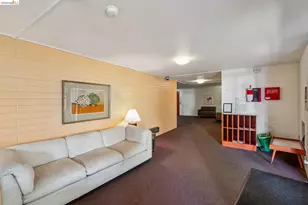 1515 Oxford St, Berkeley, CA 94709 - Photo 40