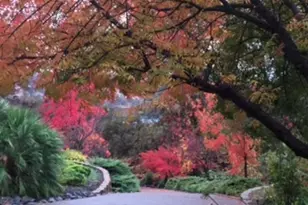 7745 Winter Snow Ct, Newcastle, CA 95658 - Photo 54