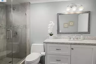 3231 Vineyard Ave, Pleasanton, CA 94566 - Photo 20