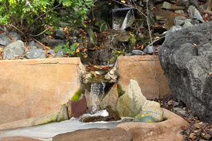 699 Fiesta Pl, Hayward, CA 94544 - Photo 32