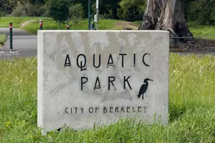 2512 Ninth St, Berkeley, CA 94710 - Photo 44