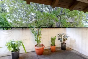 247 Capitol Ave, San Jose, CA 95127 - Photo 14