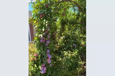 4022 Silver St, Pleasanton, CA 94566 - Photo 46