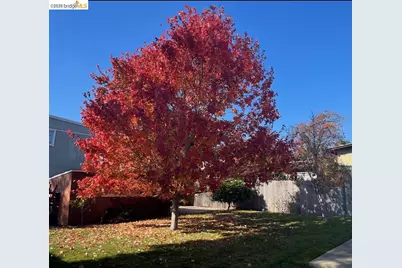 777 Kern St, Richmond, CA 94805 - Photo 20