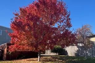 777 Kern St, Richmond, CA 94805 - Photo 20