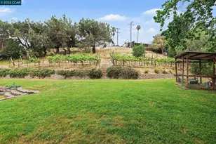 4 Dale Ct, Lafayette, CA 94595 - Photo 34