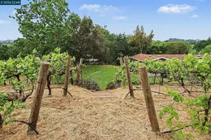 4 Dale Ct, Lafayette, CA 94595 - Photo 30