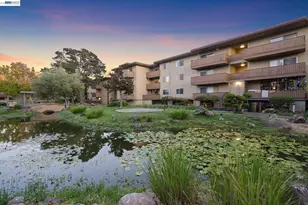 1321 Webster St, Alameda, CA 94501 - Photo 28