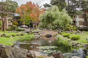 1321 Webster St, Alameda, CA 94501 - Photo 24