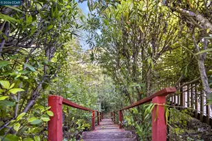 61 Sullivan Dr, Moraga, CA 94556 - Photo 56