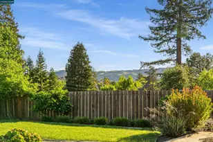 262 Via Cima Ct, Danville, CA 94526 - Photo 44