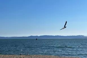 965 Shorepoint Ct, Alameda, CA 94501 - Photo 32