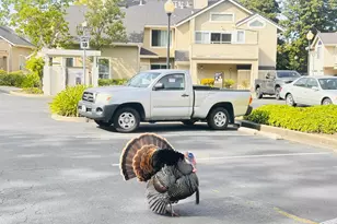 161 Seaway Ct, Hercules, CA 94547 - Photo 48