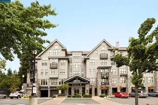 1000 Dewing Ave, Lafayette, CA 94549 - Photo 26