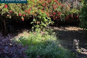 2636 17th St, San Pablo, CA 94806 - Photo 12