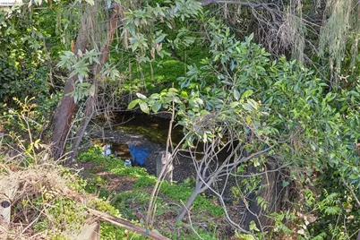 1193 Glen Dr., San Leandro, CA 94577 - Photo 50