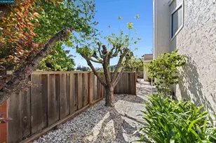 1097 Camino Verde Cir, Walnut Creek, CA 94597 - Photo 30