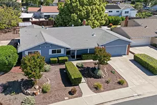 1724 Carriage Dr, Walnut Creek, CA 94598 - Photo 56