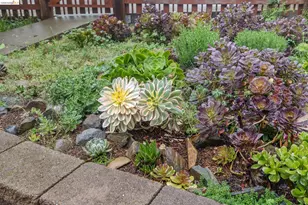 18 North Cir, Oakland, CA 94611 - Photo 6