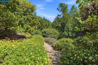 45 Merrill Circle, Moraga, CA 94556 - Photo 78