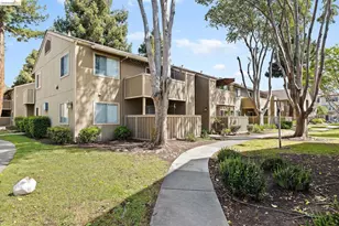 3291 Foxtail, Fremont, CA 94536 - Photo 4