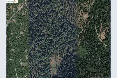 27901 Salt Springs Rd, Pioneer, CA 95666 - Photo 1