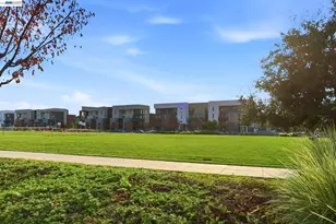 45188 Ambition St, Fremont, CA 94538 - Photo 48