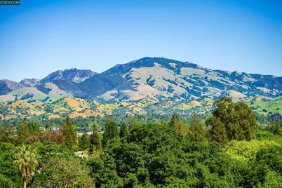 11 Dale Court, Lafayette, CA 94595 - Photo 40