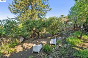 491 Vincente Ave, Berkeley, CA 94707 - Photo 36