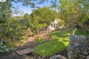 491 Vincente Ave, Berkeley, CA 94707 - Photo 34