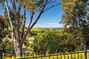 525 Silver Oak Ln, Danville, CA 94506 - Photo 40