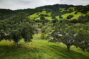 6115 Morgan Territory Rd, Clayton, CA 94517 - Photo 36