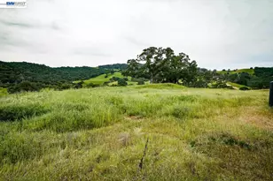 6115 Morgan Territory Rd, Clayton, CA 94517 - Photo 38