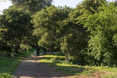 260 Grizzly Peak Blvd, Kensington, CA 94708 - Photo 50