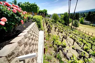 385 Paraiso Dr, Danville, CA 94526 - Photo 58