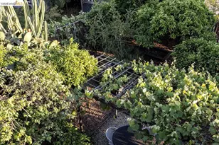 2201 Coloma St, Oakland, CA 94602 - Photo 32