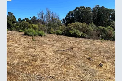 14381 Skyline Blvd, Oakland, CA 94619 - Photo 22