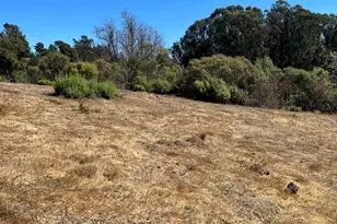 14381 Skyline Blvd, Oakland, CA 94619 - Photo 22