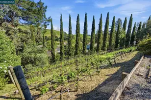 91 Shuey Dr, Moraga, CA 94556 - Photo 30