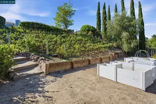 91 Shuey Dr, Moraga, CA 94556 - Photo 28