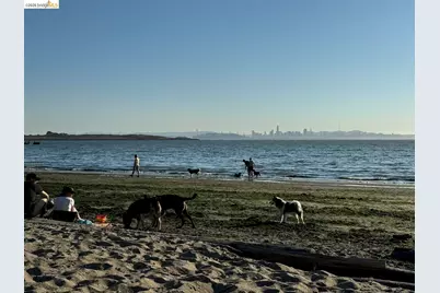 848 Stannage Ave #11, Albany, CA 94706 - Photo 28